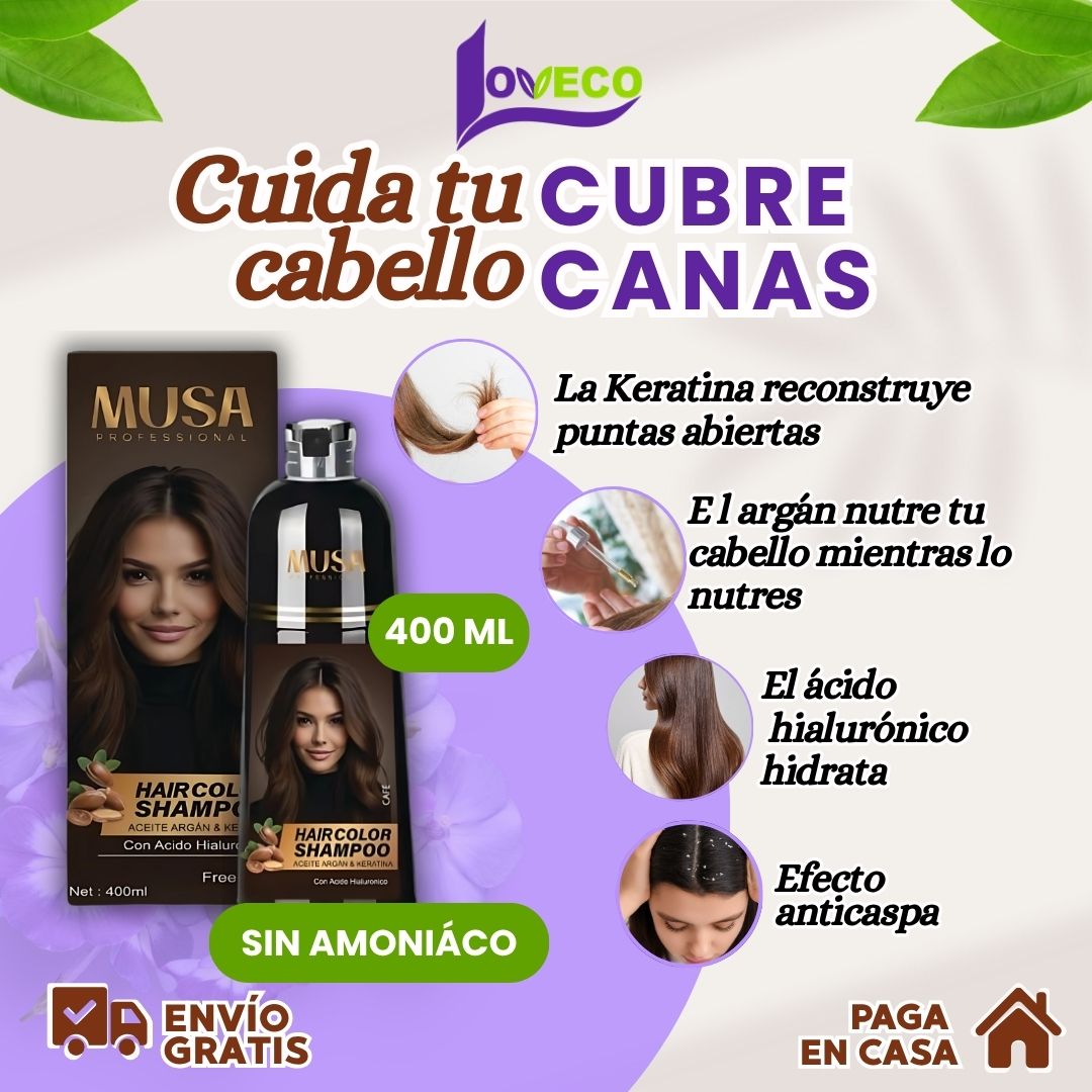 SHAMPOO TINTE CUBRE CANAS