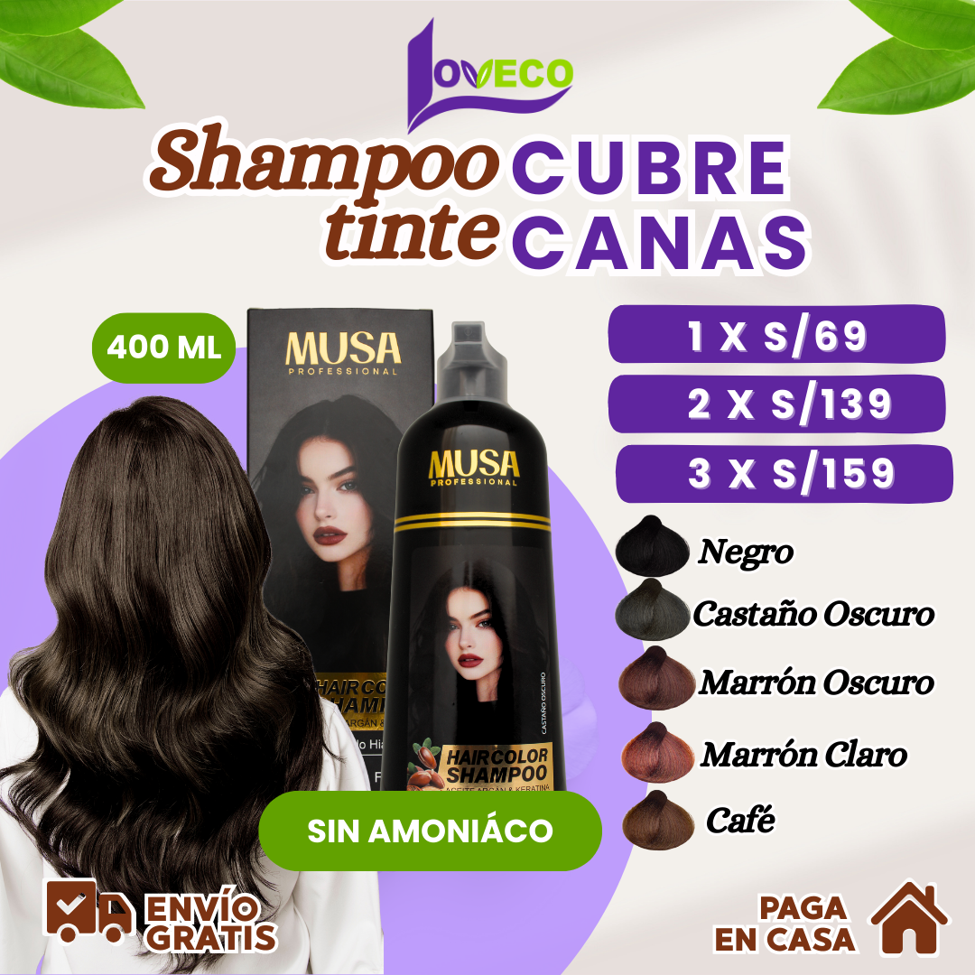 SHAMPOO TINTE CUBRE CANAS