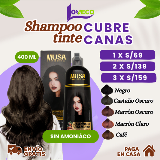 SHAMPOO TINTE CUBRE CANAS