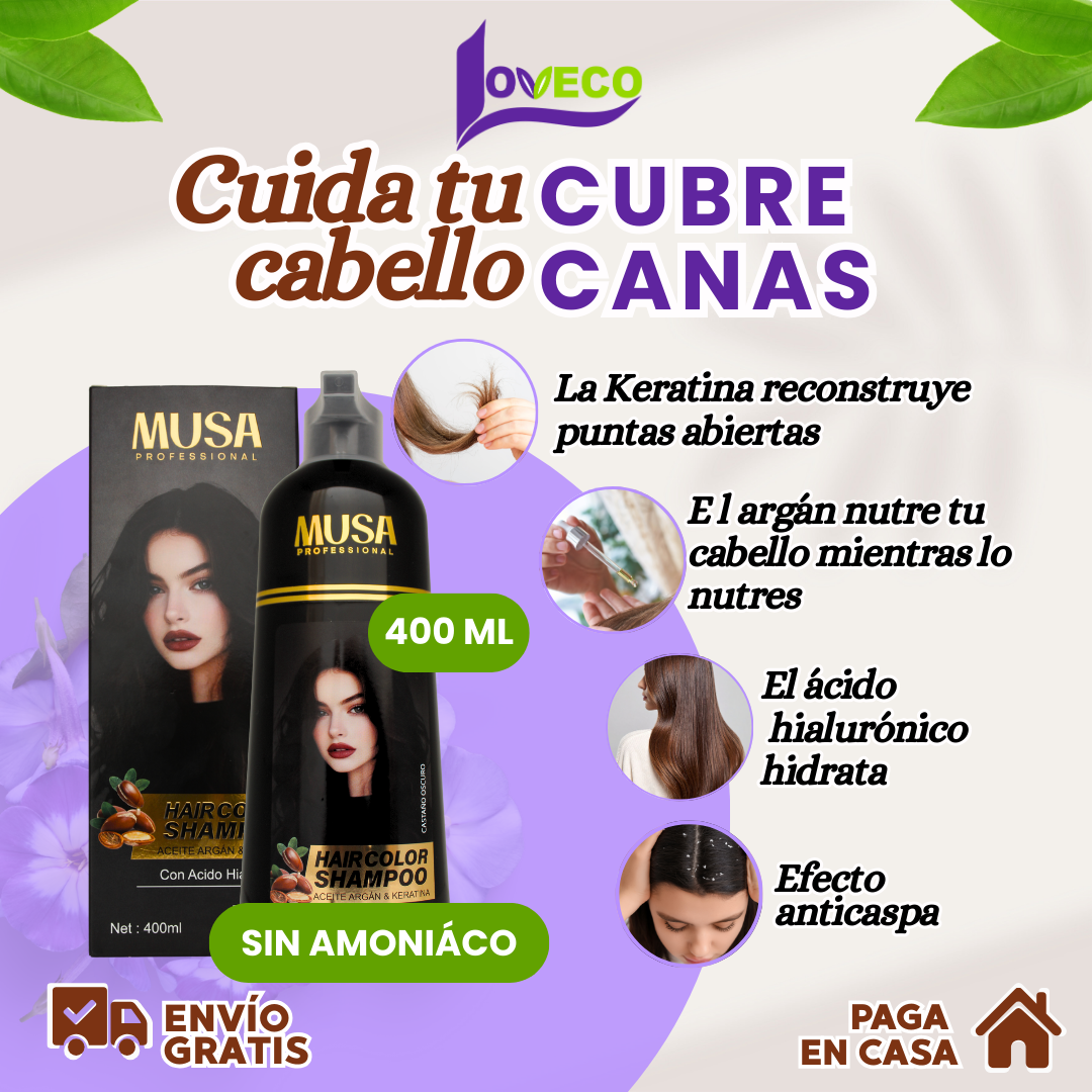 SHAMPOO TINTE CUBRE CANAS