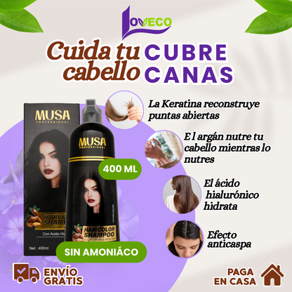 SHAMPOO TINTE CUBRE CANAS