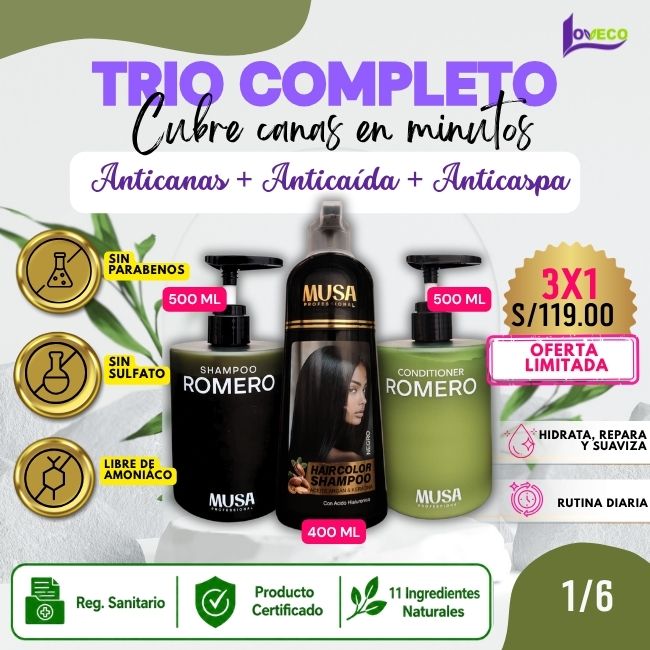 TRIO ANTICANAS+ANTICAÍIDA+ANTICASPA (SHAMPOO TINTE 400 ML + SHAMPOO ROMERO 500 ML + ACONDICIONADOR 500 ML)
