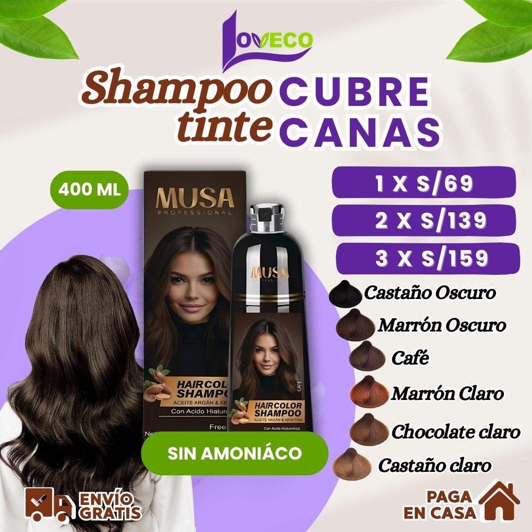SHAMPOO TINTE CUBRE CANAS