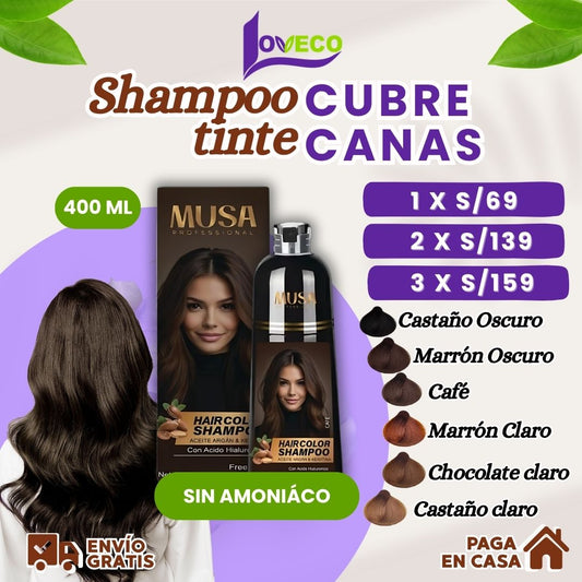 SHAMPOO TINTE CUBRE CANAS