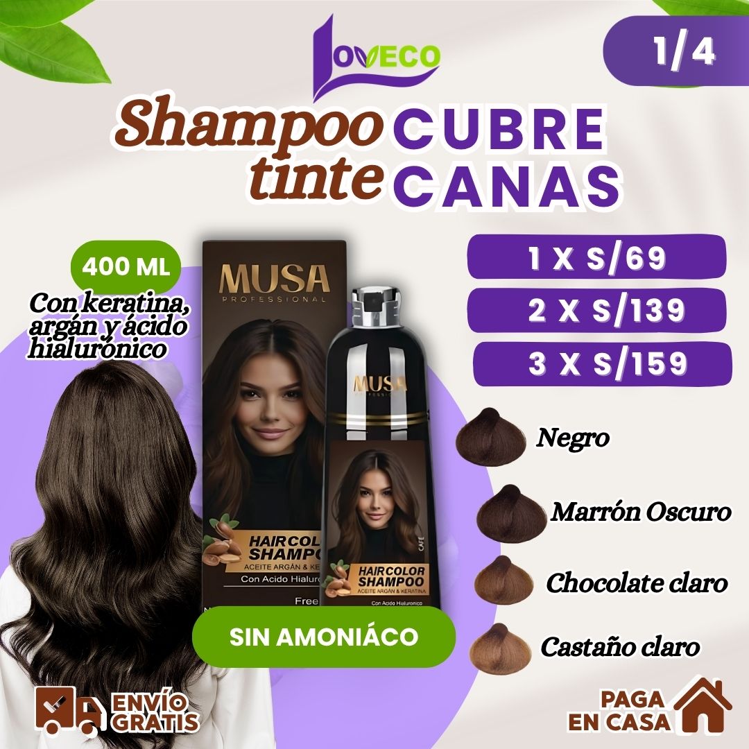 SHAMPOO TINTE CUBRE CANAS