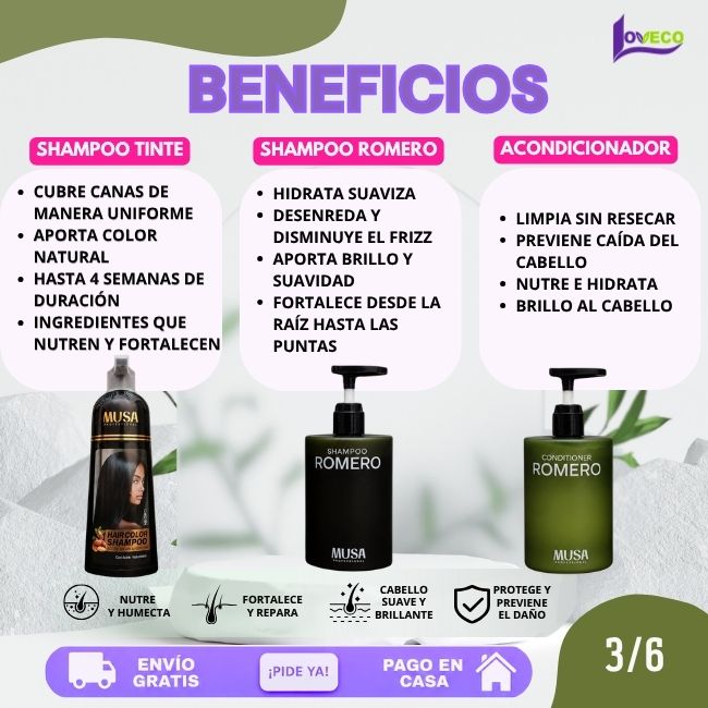 TRIO ANTICANAS+ANTICAÍIDA+ANTICASPA (SHAMPOO TINTE 400 ML + SHAMPOO ROMERO 500 ML + ACONDICIONADOR 500 ML)