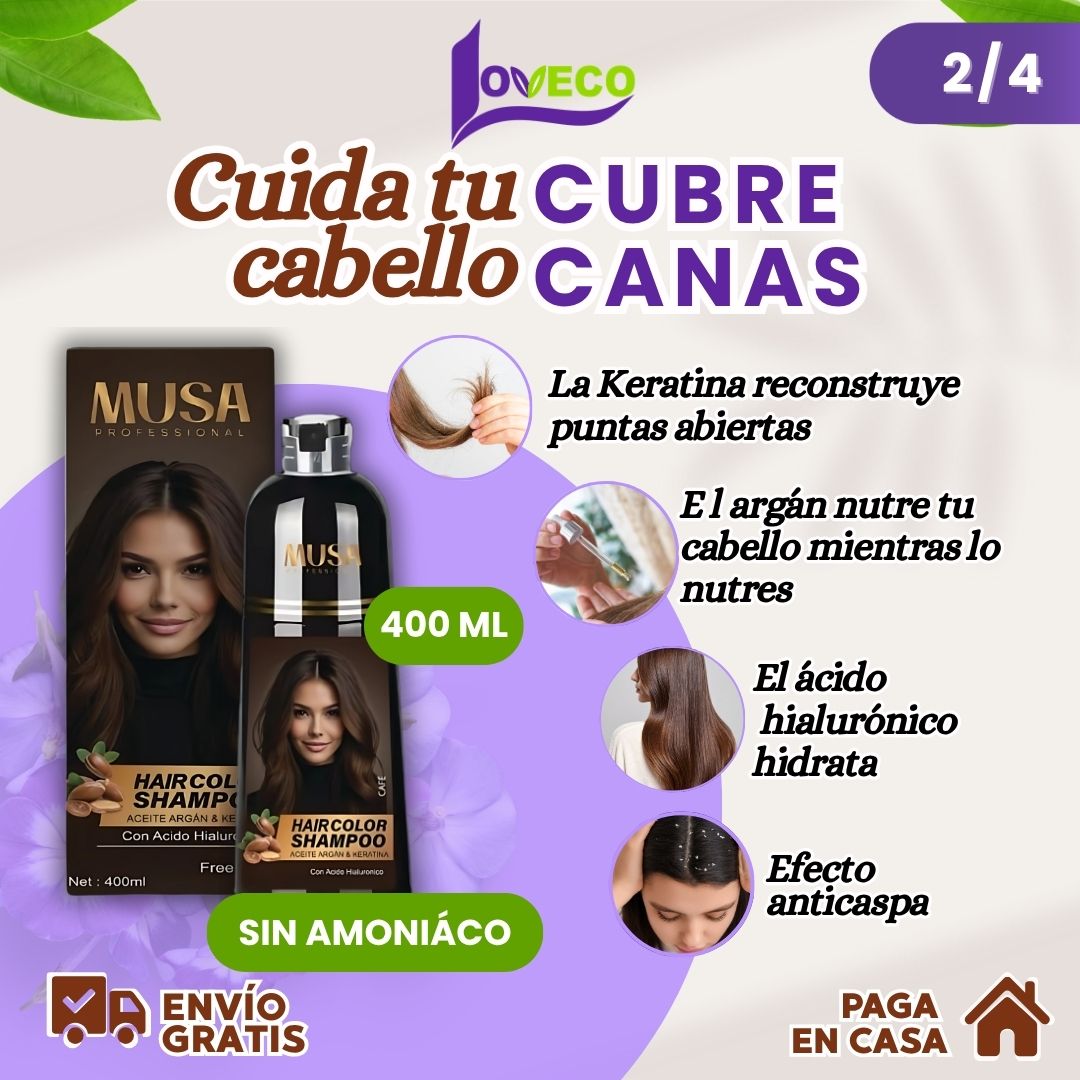 SHAMPOO TINTE CUBRE CANAS